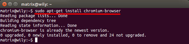 sudo apt-get install chromium-browser