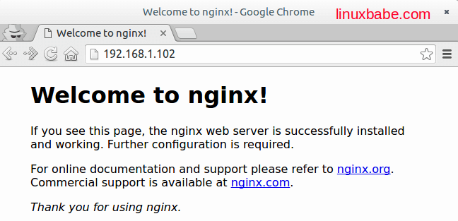 Compile Nginx From Source and Install on Raspbian Jessie