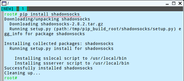 install Shadowsocks on Puppy Linux