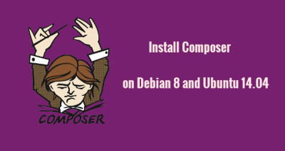 composer install command