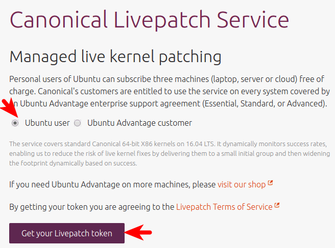 canonical livepatch service
