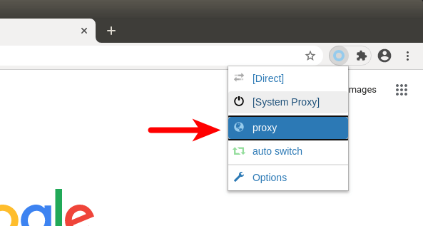 switchyomega default proxy