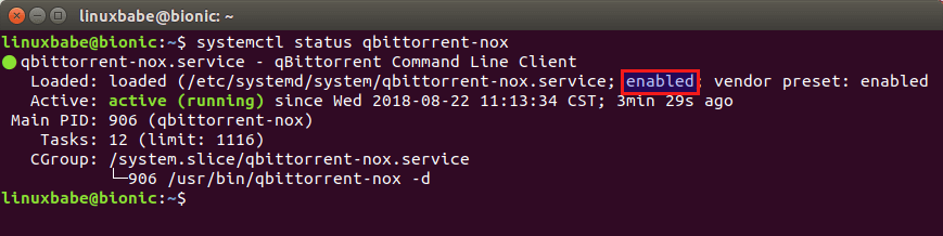 qbittorrent ubuntu server