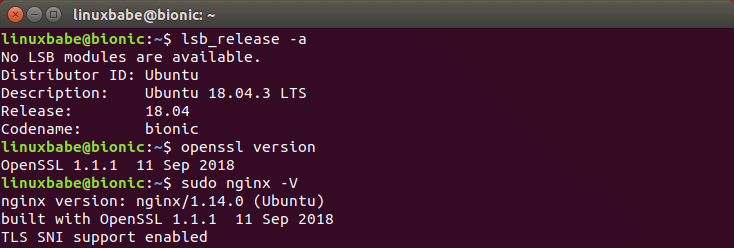 openssl 1.1.1 ubuntu 18.04.3