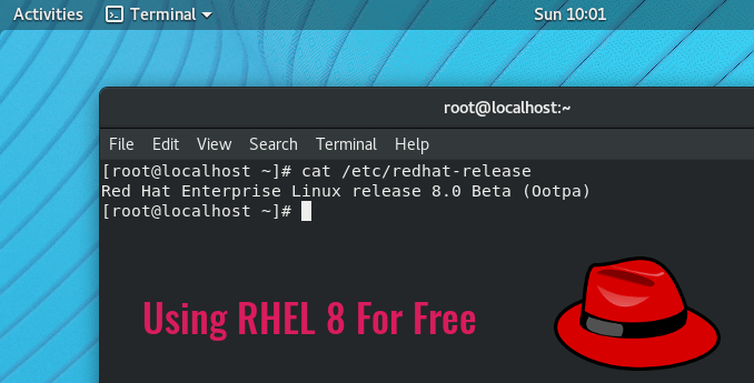 Download redhat linux 8 iso free polaris 280 vs polaris 380