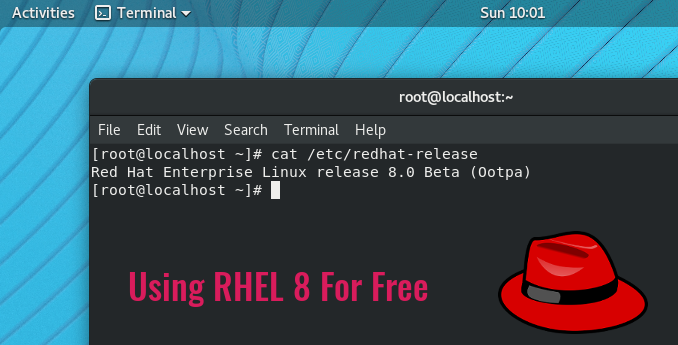 redhat linux version