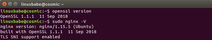 ubunt 18.10 nginx tls1.3