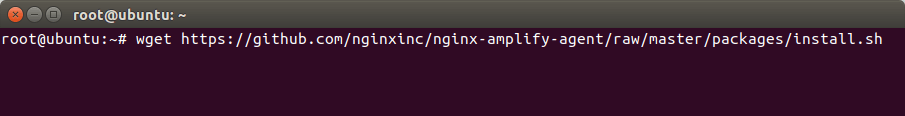 install nginx amplify