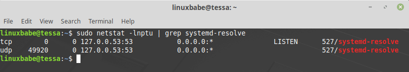 linux mint stub resolver