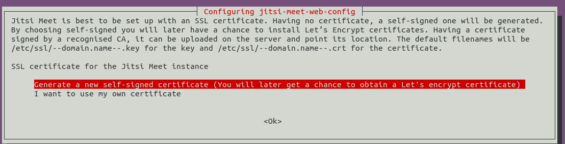 jitsi-meet-web-config-ssl-certificate