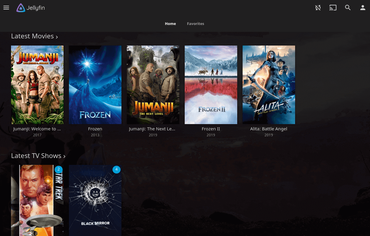 jellyfin web interface