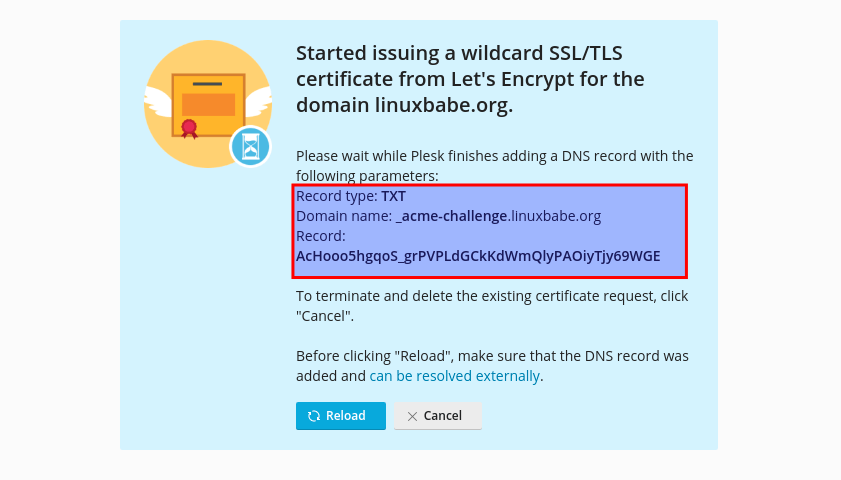 plesk wildcard let's encrypt certificate txt record