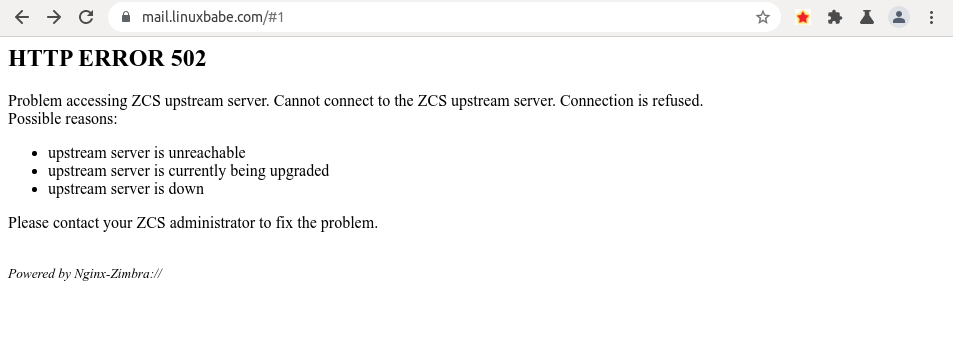 zimbra HTTP ERROR 502