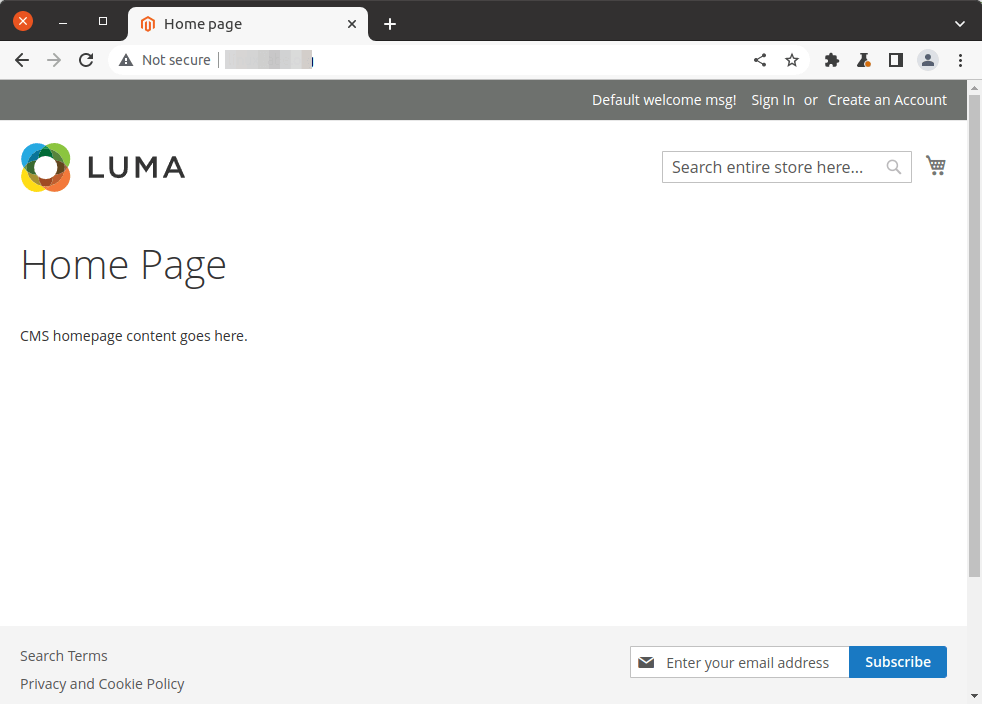 magento default home page