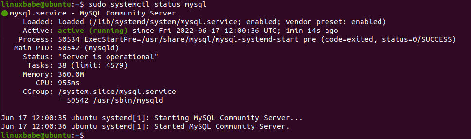ubuntu mysql community server