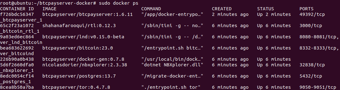 btcpay server docker containers