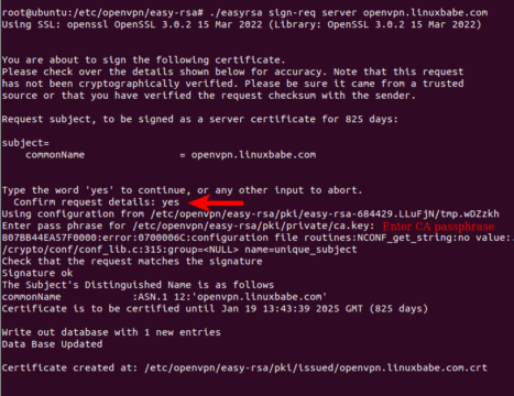 How to Set Up OpenVPN with Stunnel on Ubuntu 24.04 Server - LinuxBabe