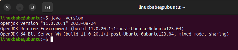 ubuntu install java 11 for thinkorswim
